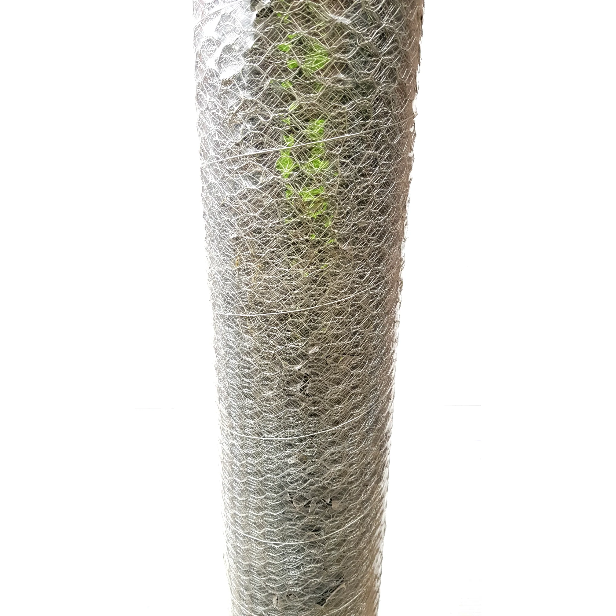 Chicken Wire - 12.5mm Opening x 1800mm High x 30m - Image 4