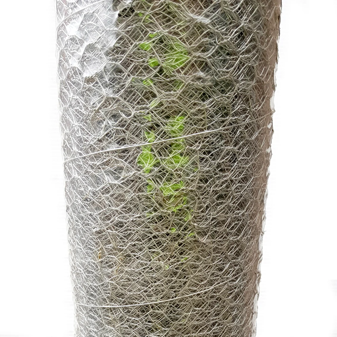 Chicken Wire - 12.5mm Opening x 900mm High x 30m - Image 3