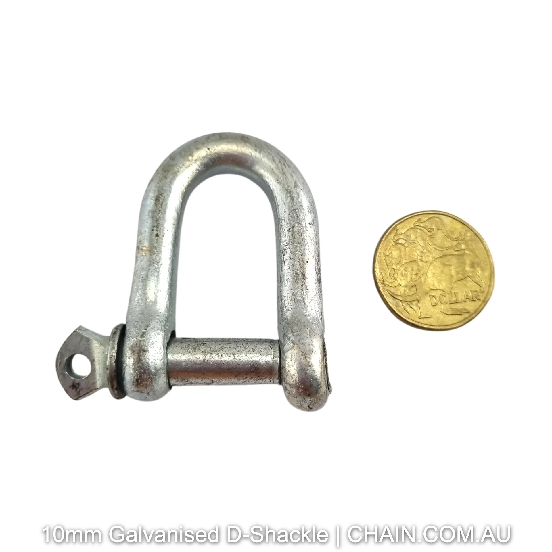 D Shackles - Galvanised - Image 5