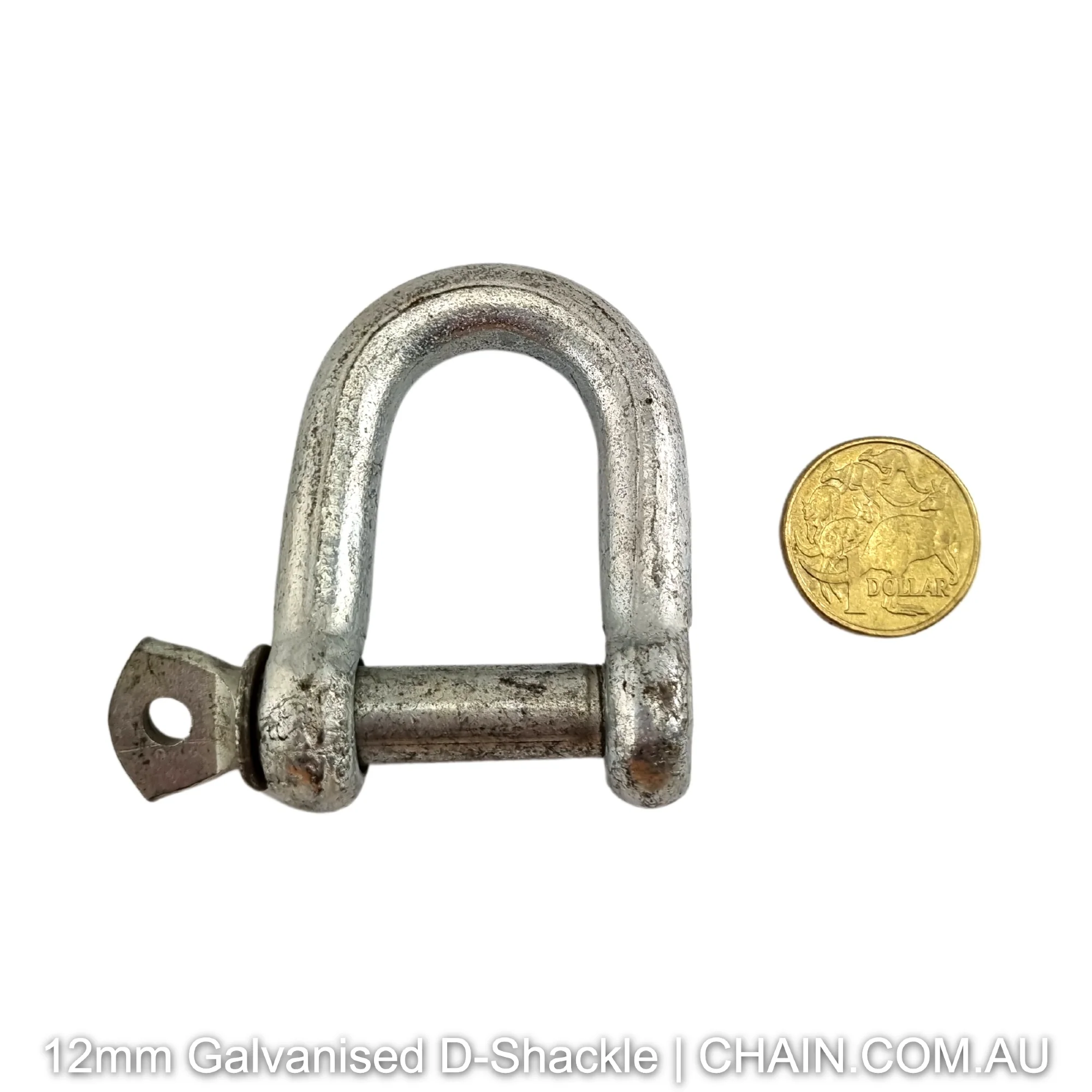 D Shackles - Galvanised - Image 6
