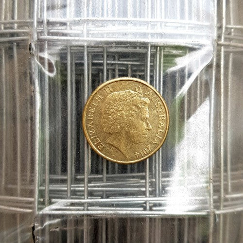 Welded Mesh - Galvanised - 50mm x 50mm - 1200mm high x 30m roll - Image 3