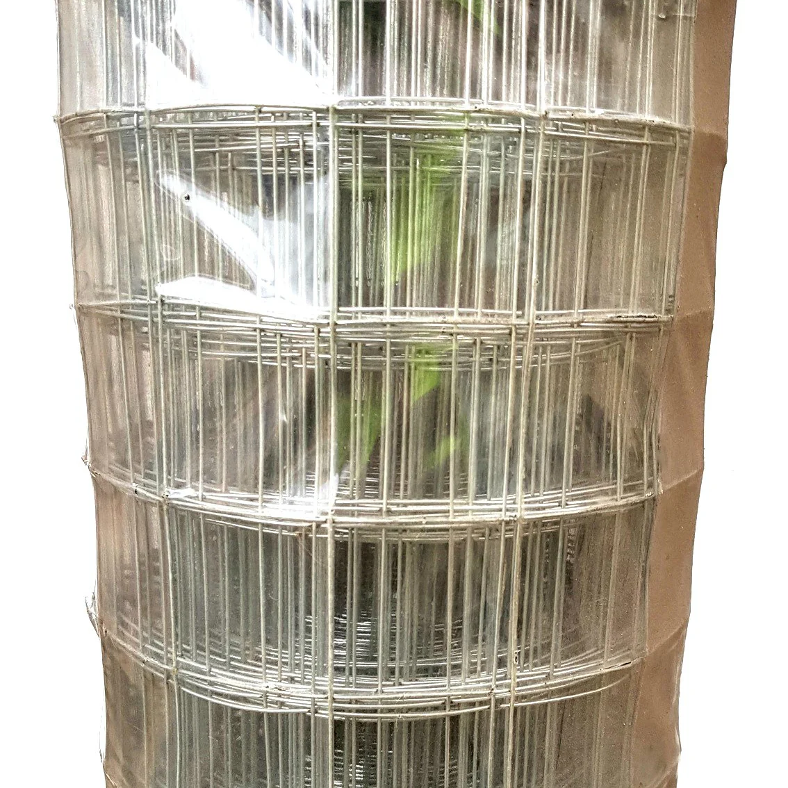 Welded Mesh - Galvanised - 50mm x 50mm - 1200mm high x 30m roll - Image 4