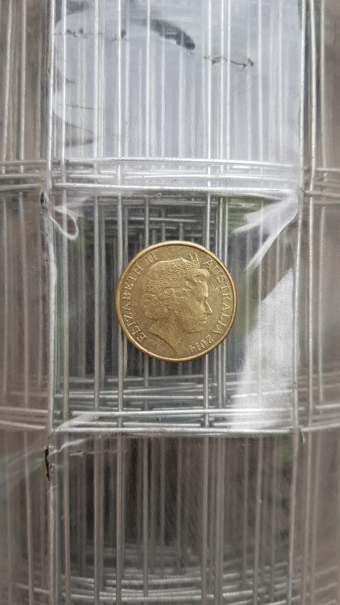 Welded Mesh - Galvanised - 50mm x 50mm - 1200mm high x 30m roll - Image 5