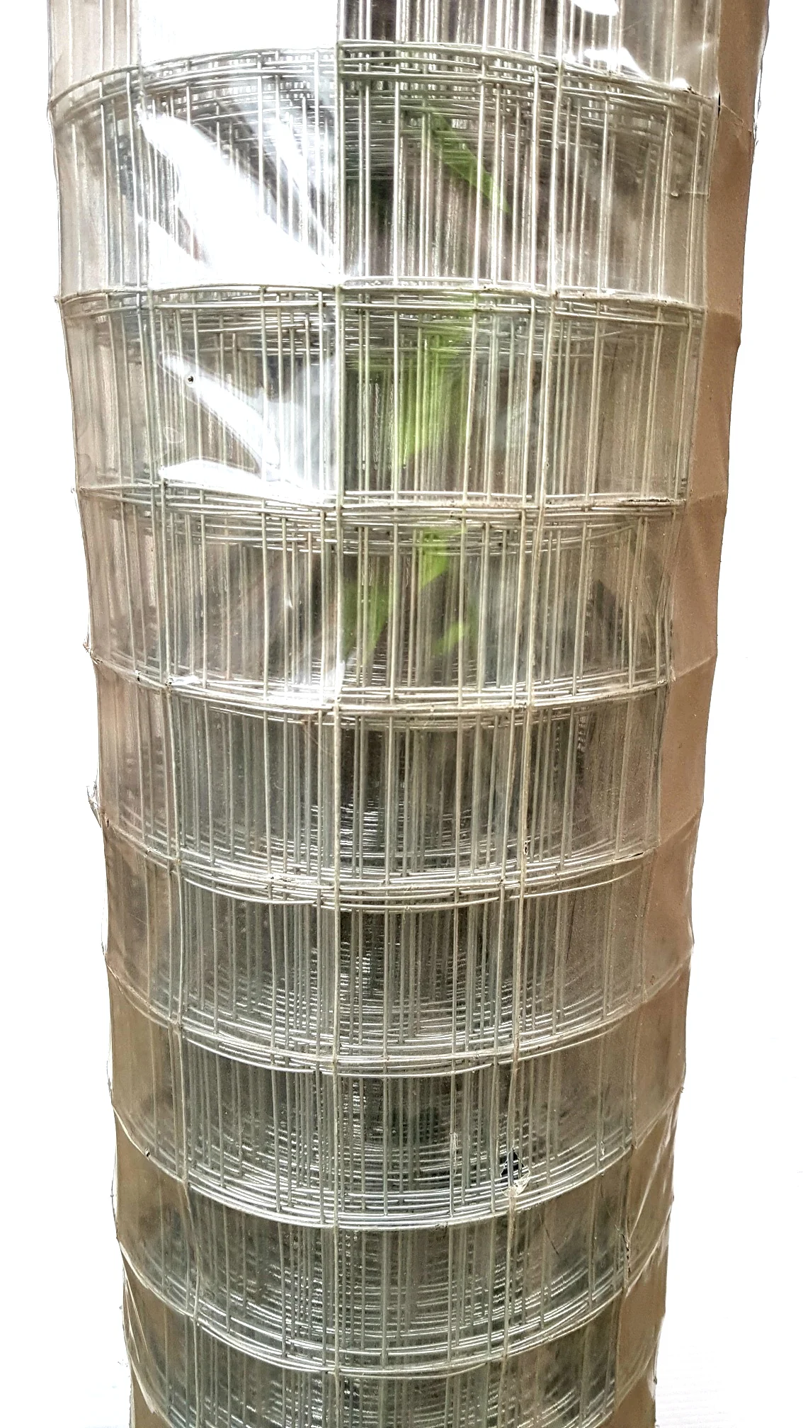 Welded Mesh - Galvanised - 50mm x 50mm - 1200mm high x 30m roll - Image 6