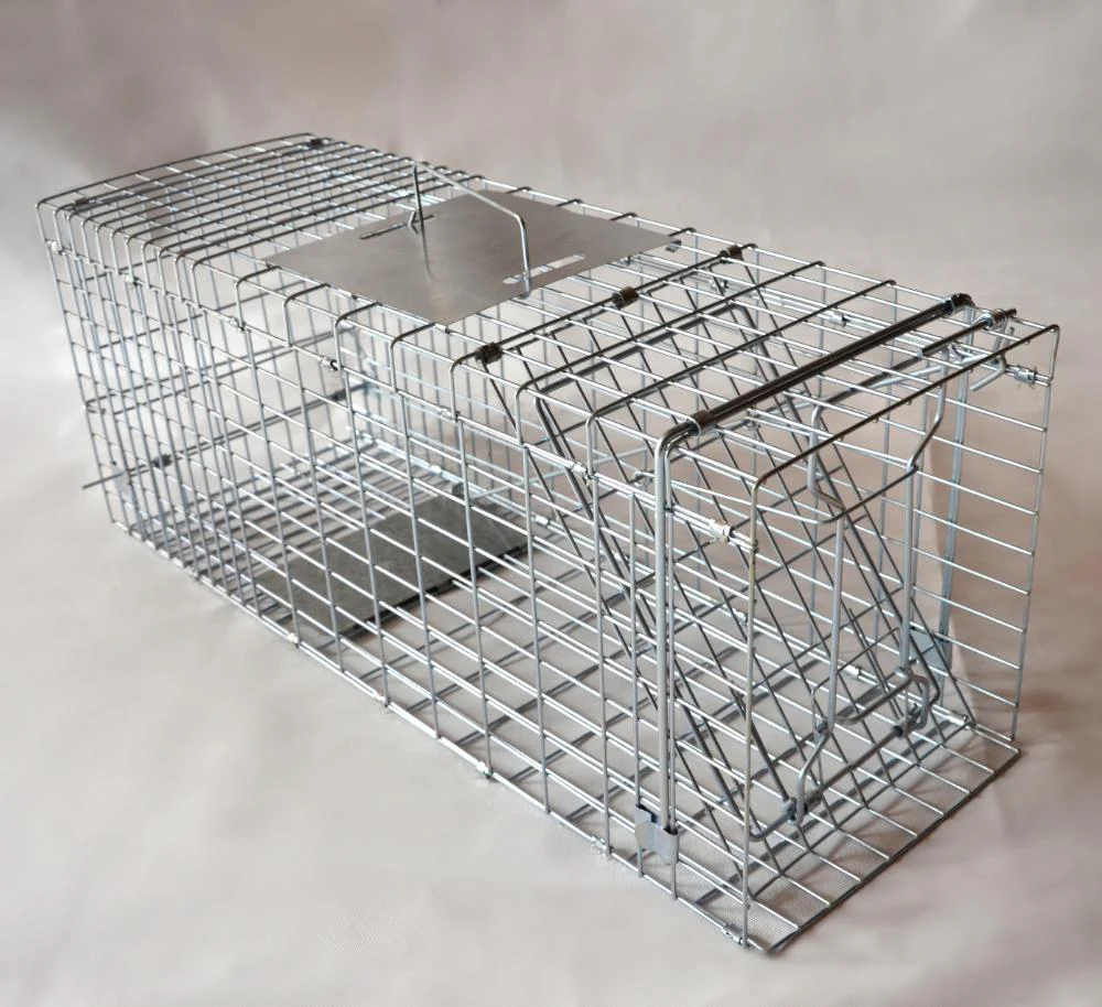 Possum Trap - Wire Animal Traps - Image 3