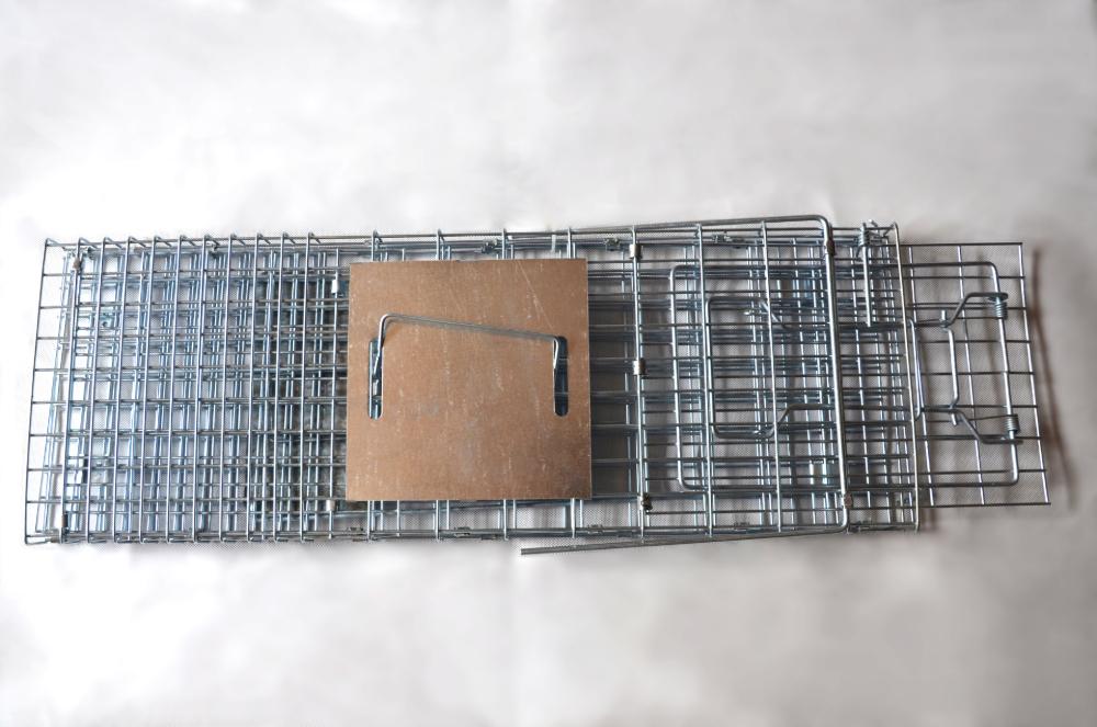 Possum Trap - Wire Animal Traps - Image 4